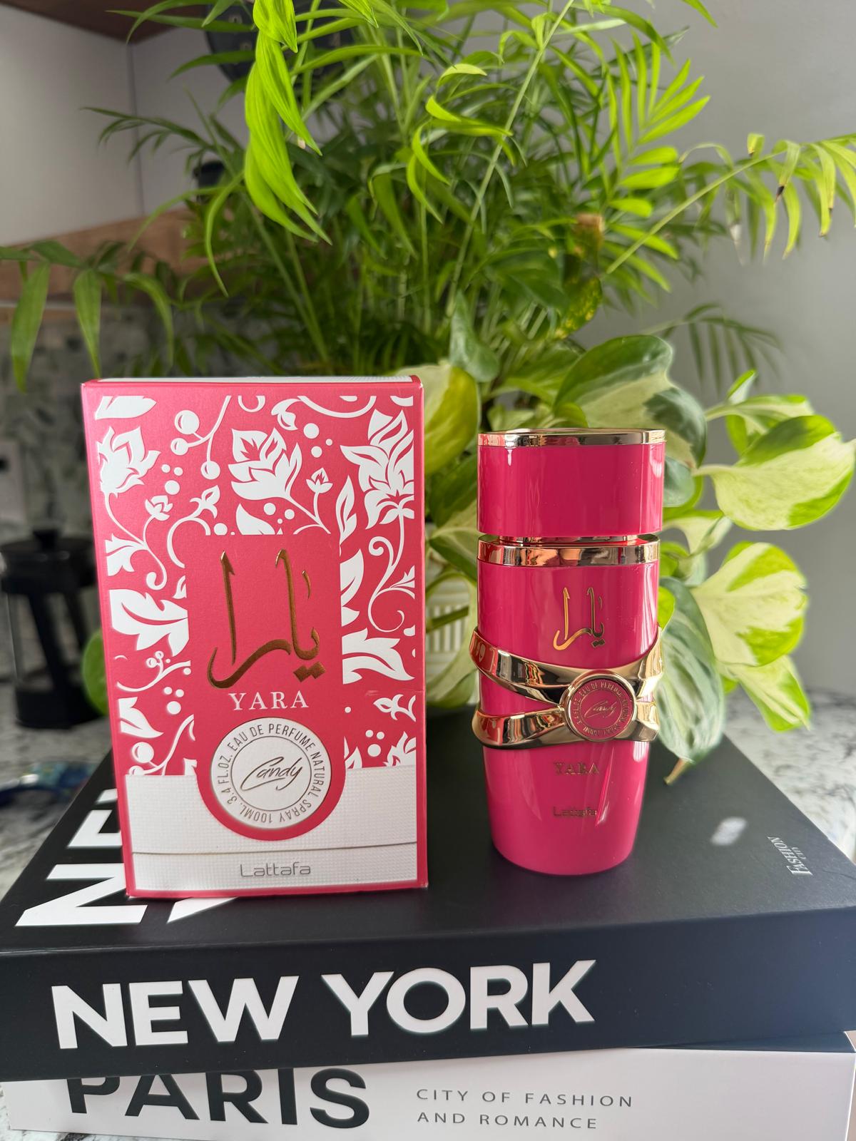 Oud, ámbar y especias — Alinor Store Honduras